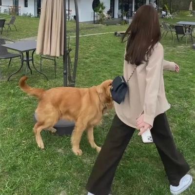 超能侠